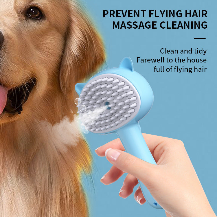 Hair Cleaning Brush With Mist