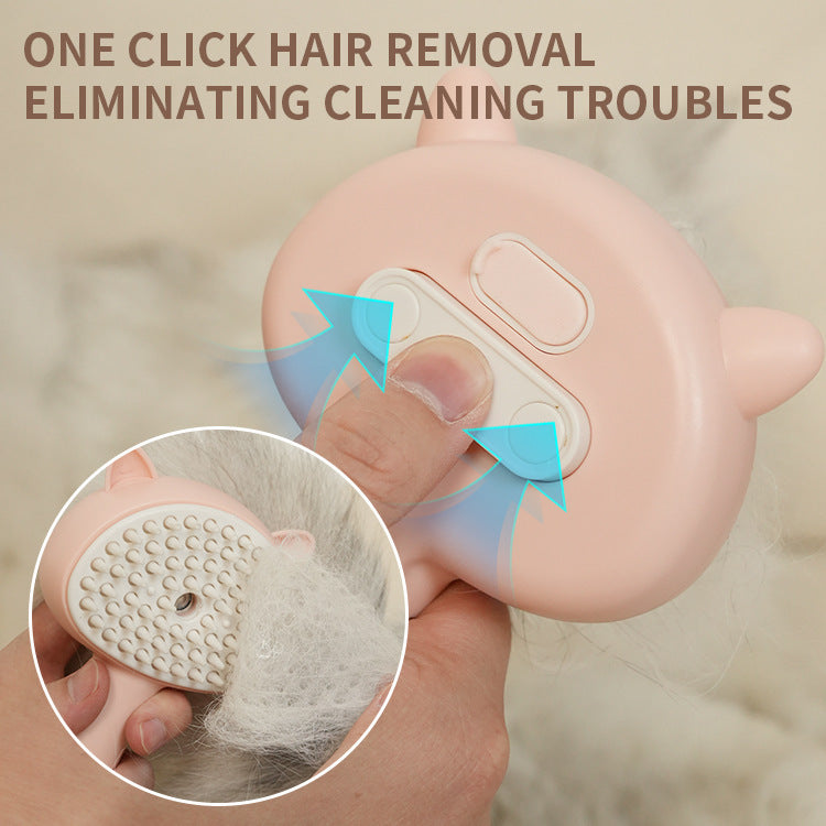 Hair Cleaning Brush With Mist